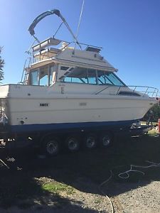 1985 Sea Ray 340 Sedan Bridge