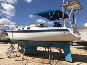 1986 Irwin Citation
