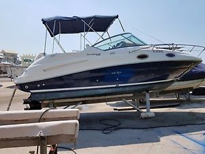 2010 Sea Ray