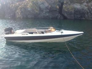 17ft Driver 500 speedboat with 100hp outboard and trailer