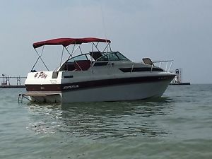 Bimini