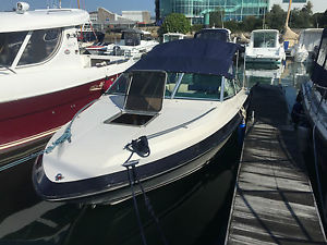 sea ray 20 seville