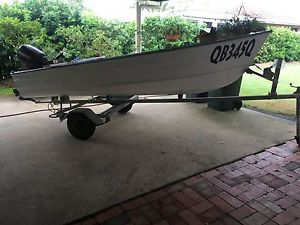 Tinnie, outboard and trailer