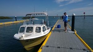 4.8m Nesscraft halfcab fishing boat