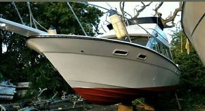bayliner 2858