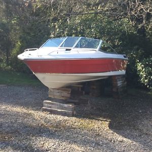 Sea Ray Seville 16 bowrider - project boat