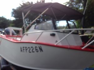Boat, Dolphin 5.5 metre plate aluminium
