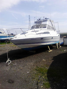 bayliner boat