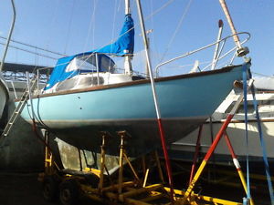 Hurley 22 Sail Boat and Road/Launch/Recovery Trailer