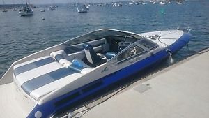 searay pachanga 22 powerboat speedboat v8 classic