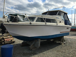 1981 Birchwood 22ft Executive