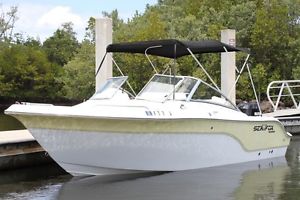 2007 Sea Fox 216 Dual Console