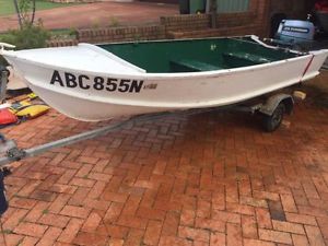 TINNY 14ft plus 25hp Evinrude and registered trailer