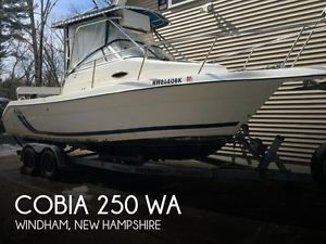 2001 Cobia 250 WA