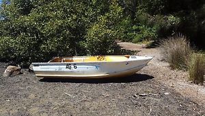 3.3metre De Havilland tinny with 9.9 Mariner outboard