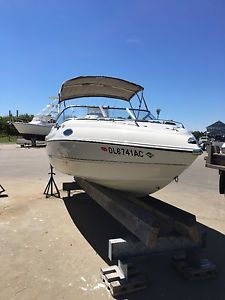 2009 Stingray 195CS Cuddy Cabin, very nice