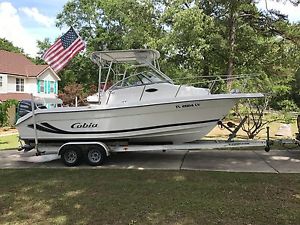 2002 Cobia 250 Walkaround