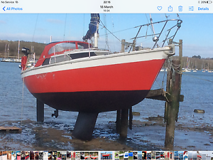 Prospect 900