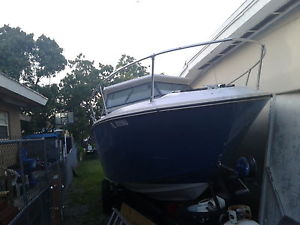 1975 Sea Ray image 1