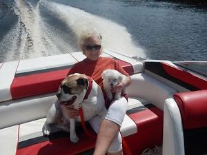 1990 Chris Craft 245 limited