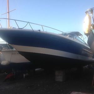 SEARAY 370 PROJECT BOAT