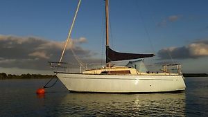 Cobra Sailing Boat