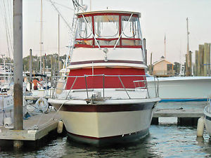 1981 TROJAN