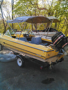 1981 Arrowglass Cougar