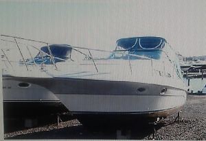 1988 Cruiser Espirit 3170