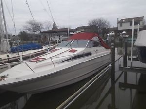 1988 Sea Ray Sundancer