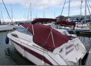 Sea ray power boat/inboard engine/SBS roller coaster trailer/canpoy/weekender/