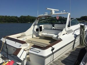1988 Sea Ray Sea Ray 460