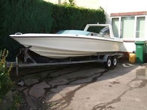 Ring 19' Speedboat with 150hp Mariner twin wheel Trailer