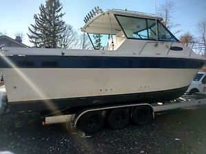 1991 Baha Cruisers