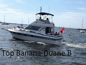 1987 CRUISERS INC Chateau Vee 33