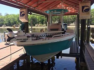 2013 Everglades 243