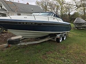 1989 Rinker