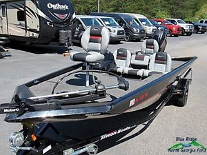 2013 Triton X17