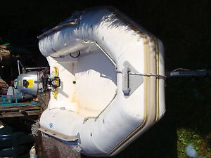 Narwhal rib with honda outboard and trailer