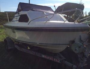 Boat, Cruise craft, half cabin