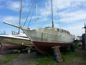 30ft steel yacht project