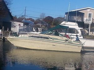 1984 Sea Ray sea ray sundancer