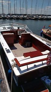 1983 Skiff Craft X220