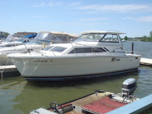 1980 Trojan F-261 Hardtop