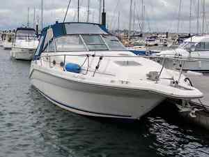 Searay Sundancer 290