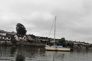 Kingfisher 20 project