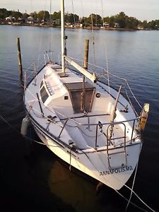1981 seidelmann 299