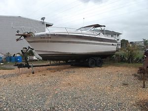 1980 Cruiser Vee Sport