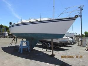 1984 Hunter 31