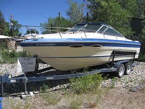 1987 Sea Ray Weekender 230